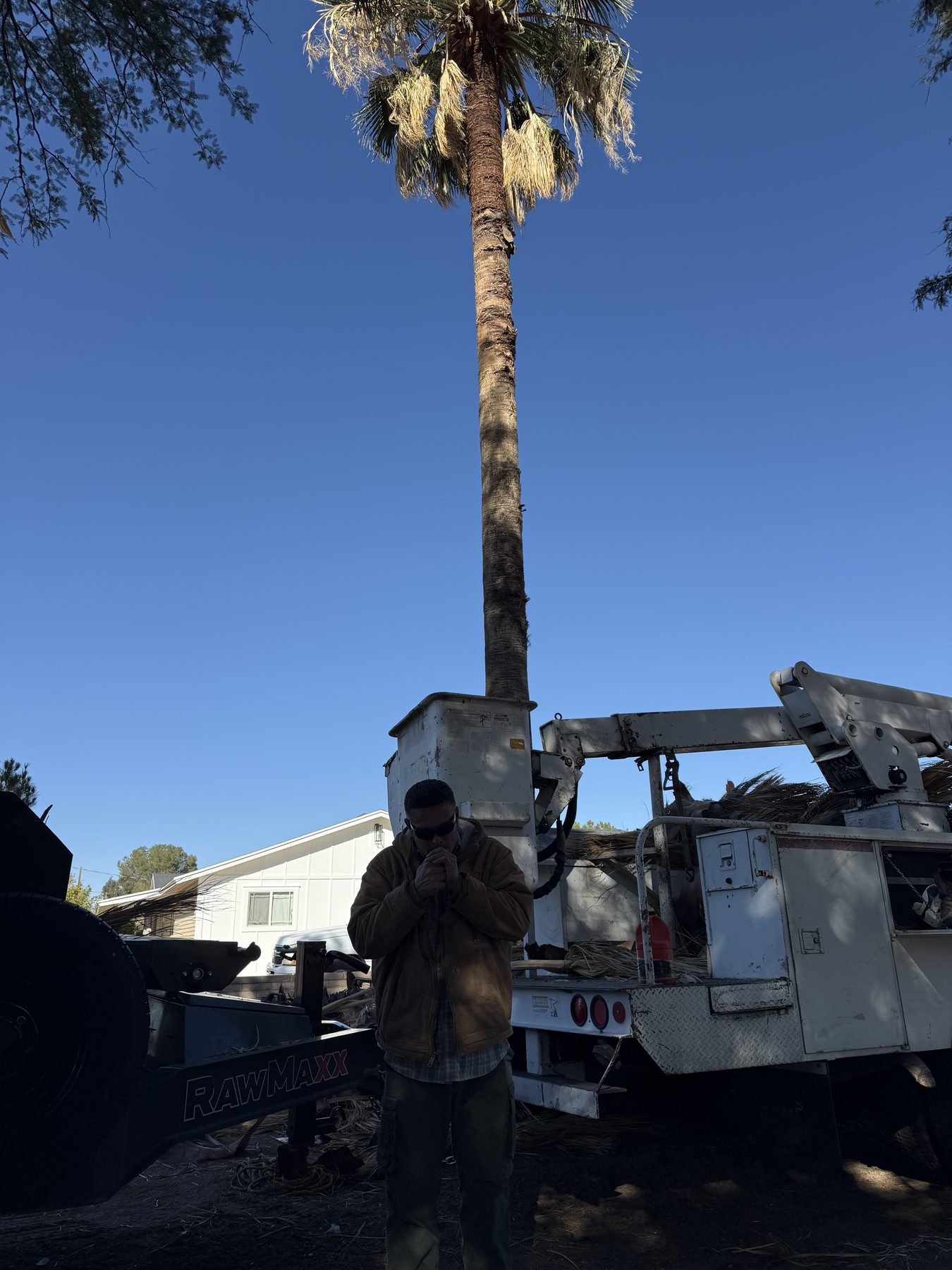 Palm trimming with bucket truck access
