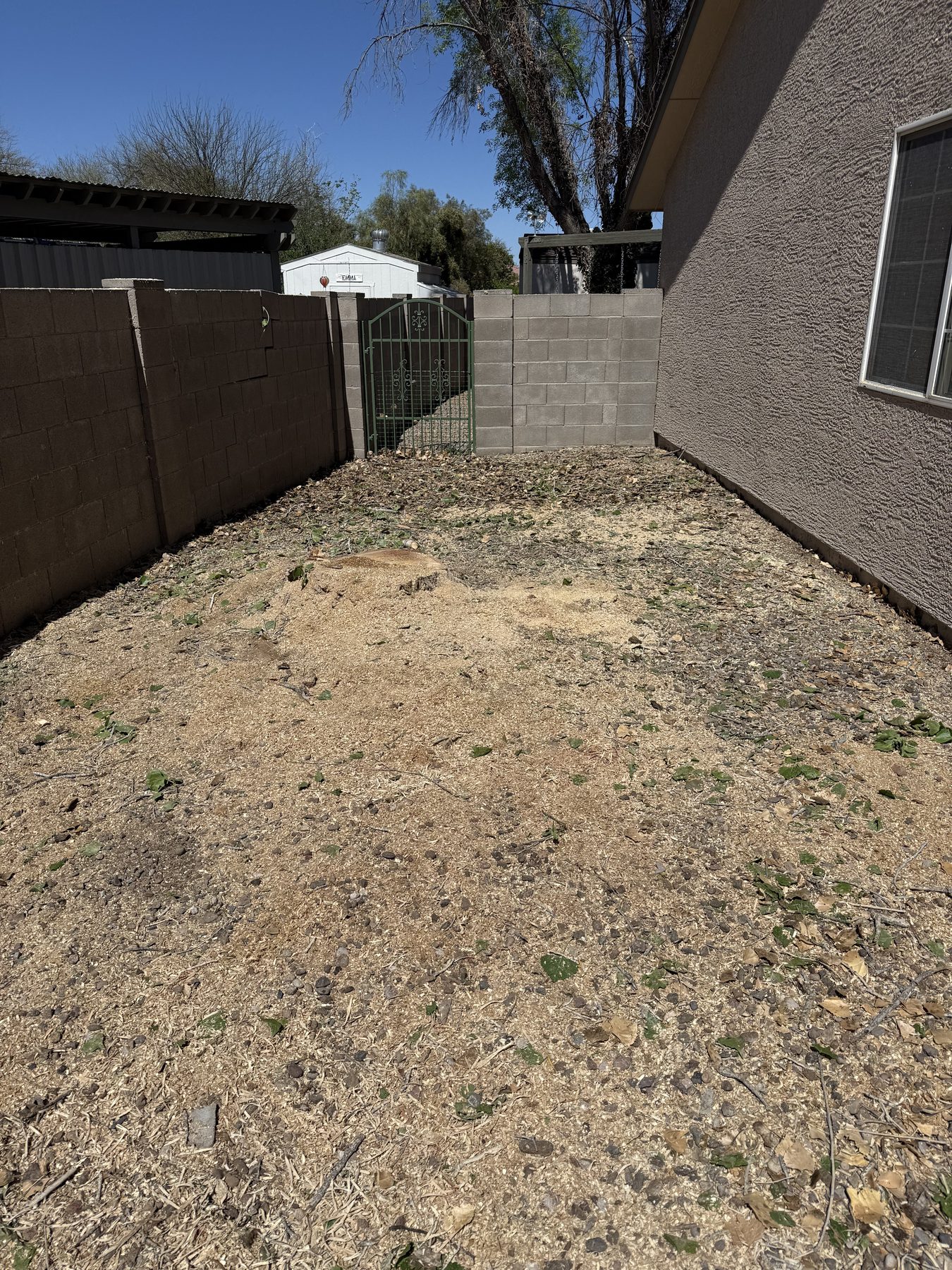 Residential side yard opened back up after tree removal