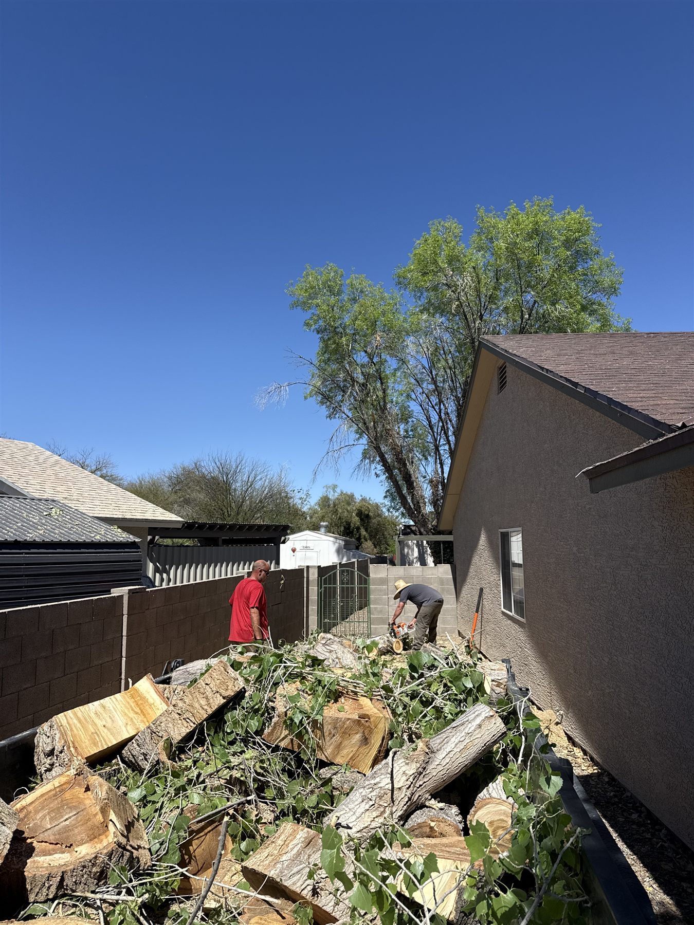 Tree removal debris staged for hauling near a residential wall