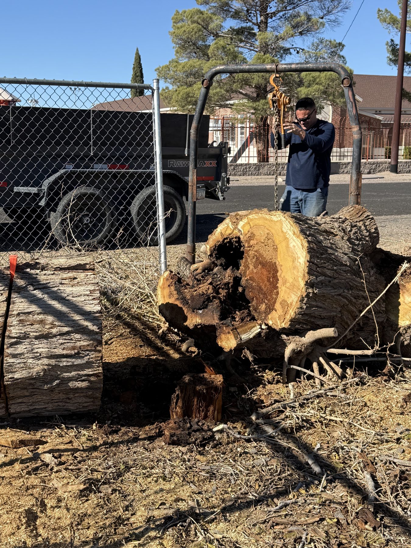 Tree removal and ground cleanup work