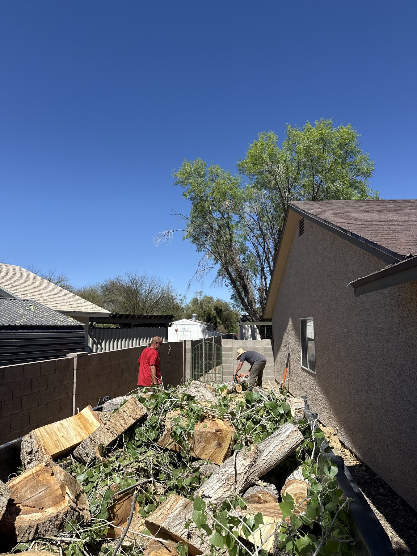 Removed tree debris cleared from a residential side yard