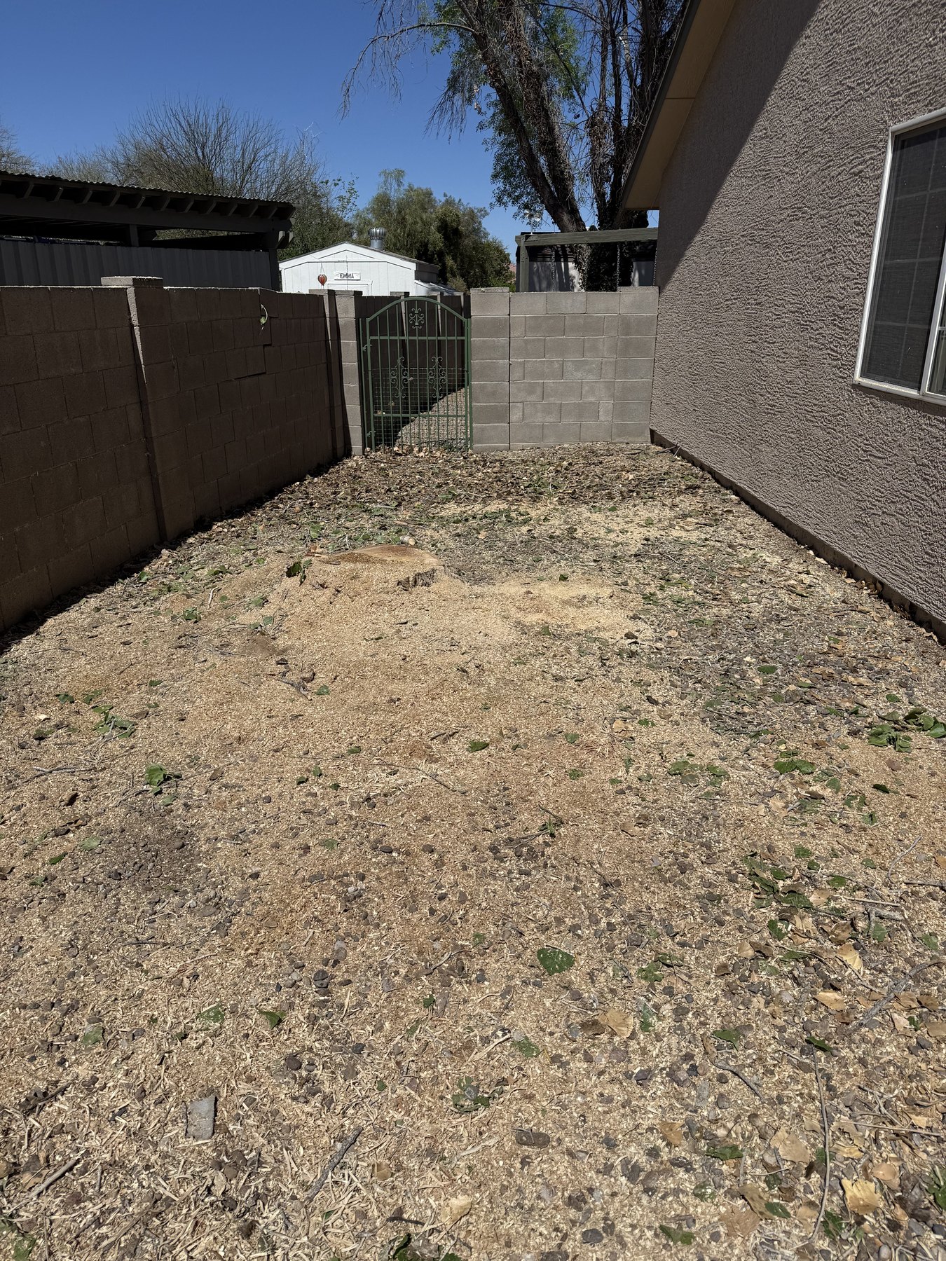 Finished residential yard after hazard tree removal and cleanup