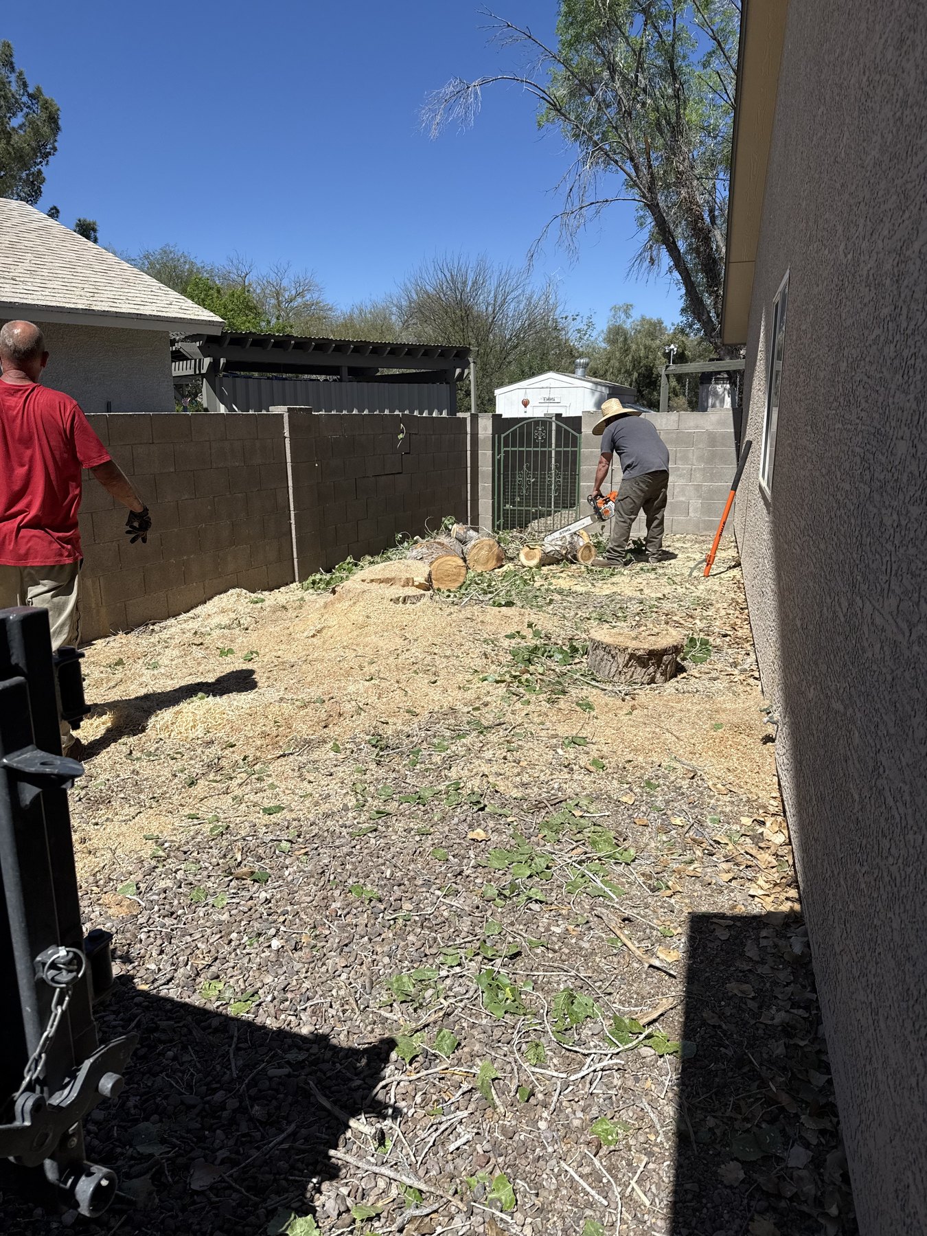 Ground cleanup after residential hazard tree removal