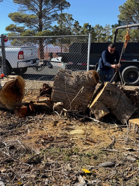 Arizona Joe crew working around large cut tree sections